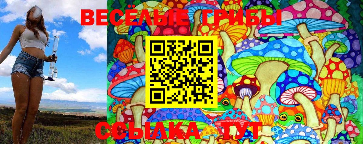 Псилоцибиновые грибы Psilocybe  Галлюциногенные грибы GOLDEN TEACHER  Кемерово  Вход с VPN 