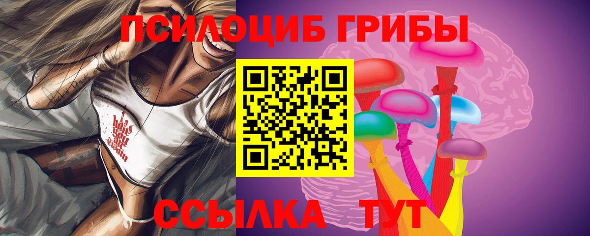 Псилоцибиновые грибы Psilocybine cubensis Кемерово
